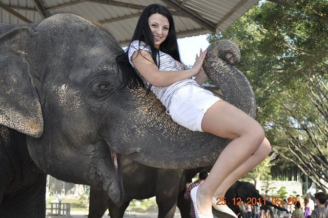 Алина Оныпко | Бар