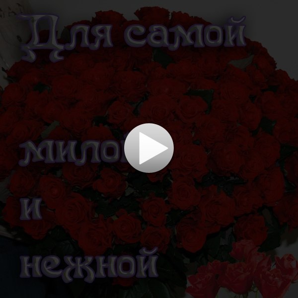 Наташка Королева | Сосновый Бор (поселок)