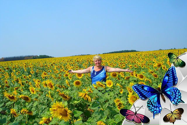 №12, Надежда Волкова №12, Надежда Волкова