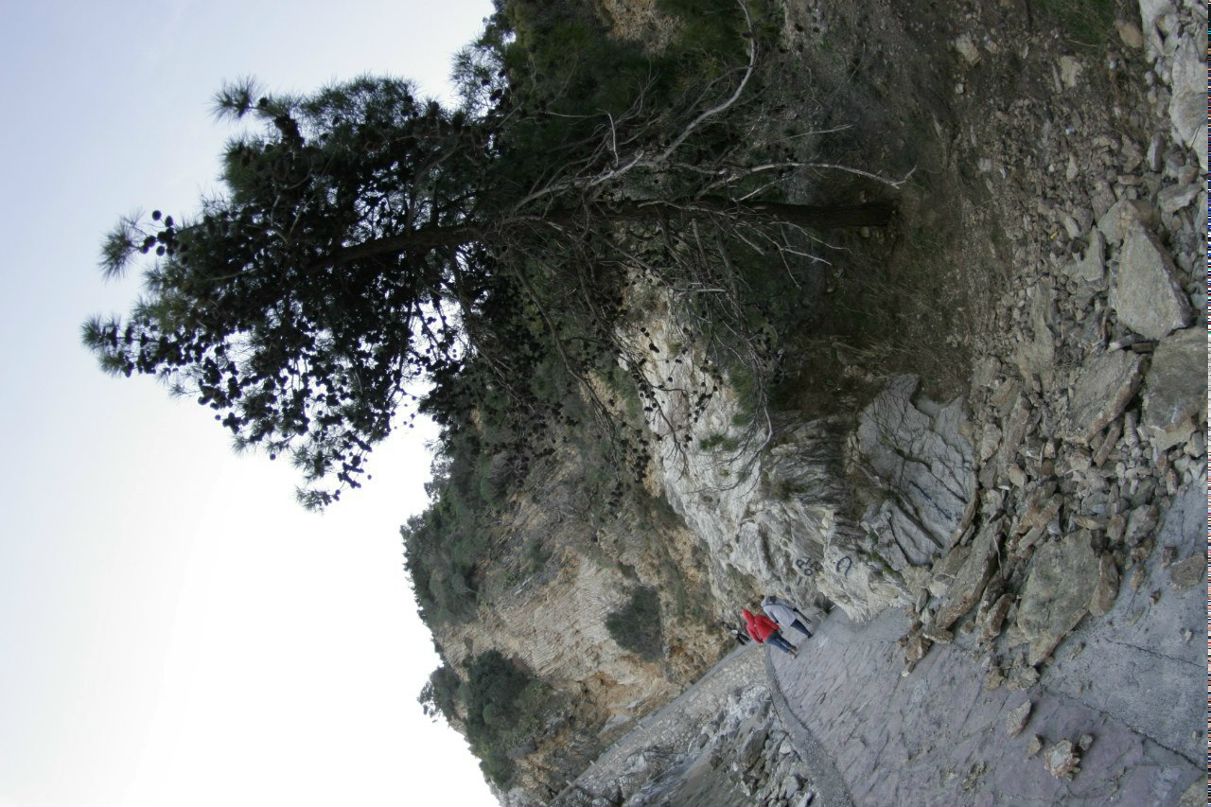 Яна Australia ★шлепанцы Chanel★UGG® | Москва