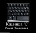 Алексей Хатмуллин фотография #31 (источник - https://vk.com/id238309)