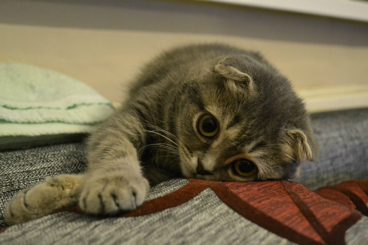 Маша Басова | Екатеринбург