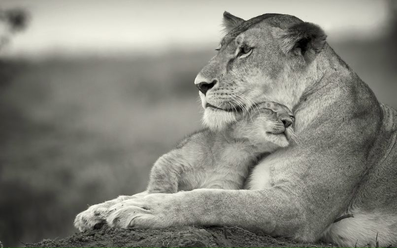 Юлия Хасьянова | Самара