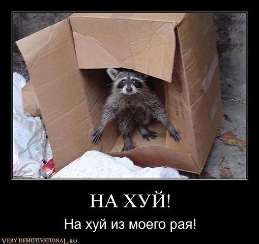 Артем Солоухин | Ярославль