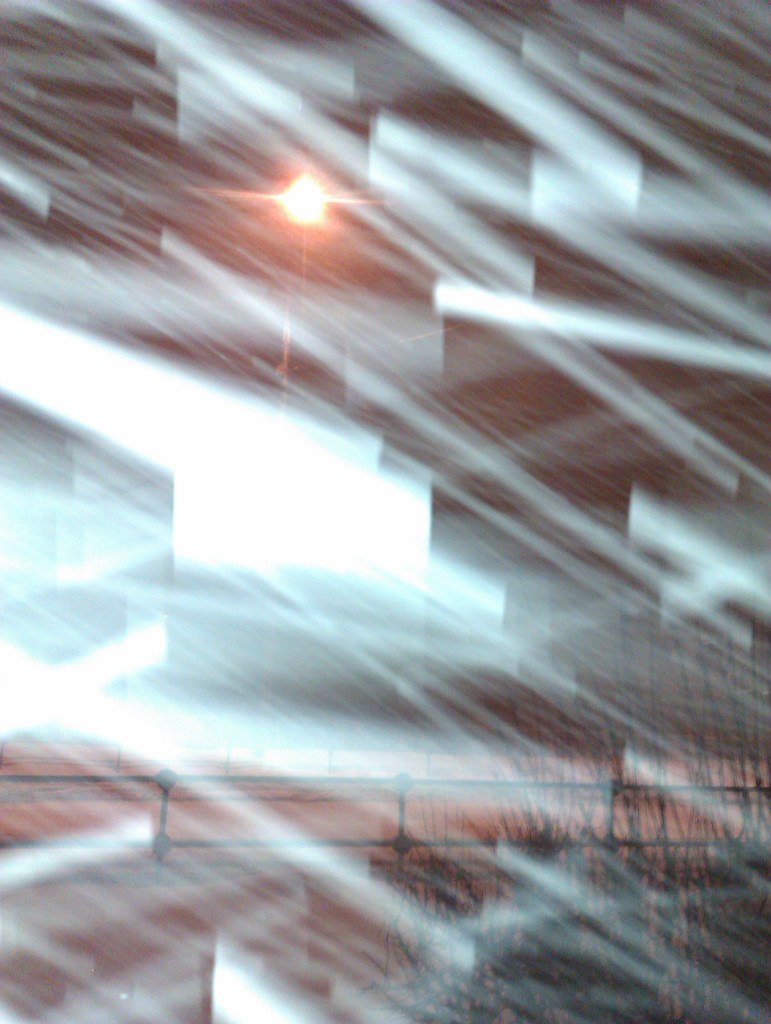 Родион Маркелов | Москва