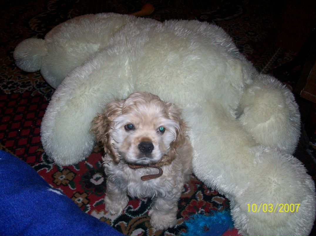 Даша Хамутинина Pandochka | Николаев