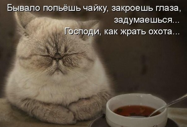 Катя Власийчук | Теплодар