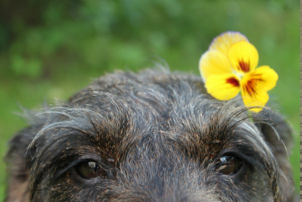 №15, Маша Судовых, 30 лет, Toronto №15, Маша Судовых, 30 лет, Toronto