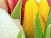 Полина Ситник | Днепр (Днепропетровск)