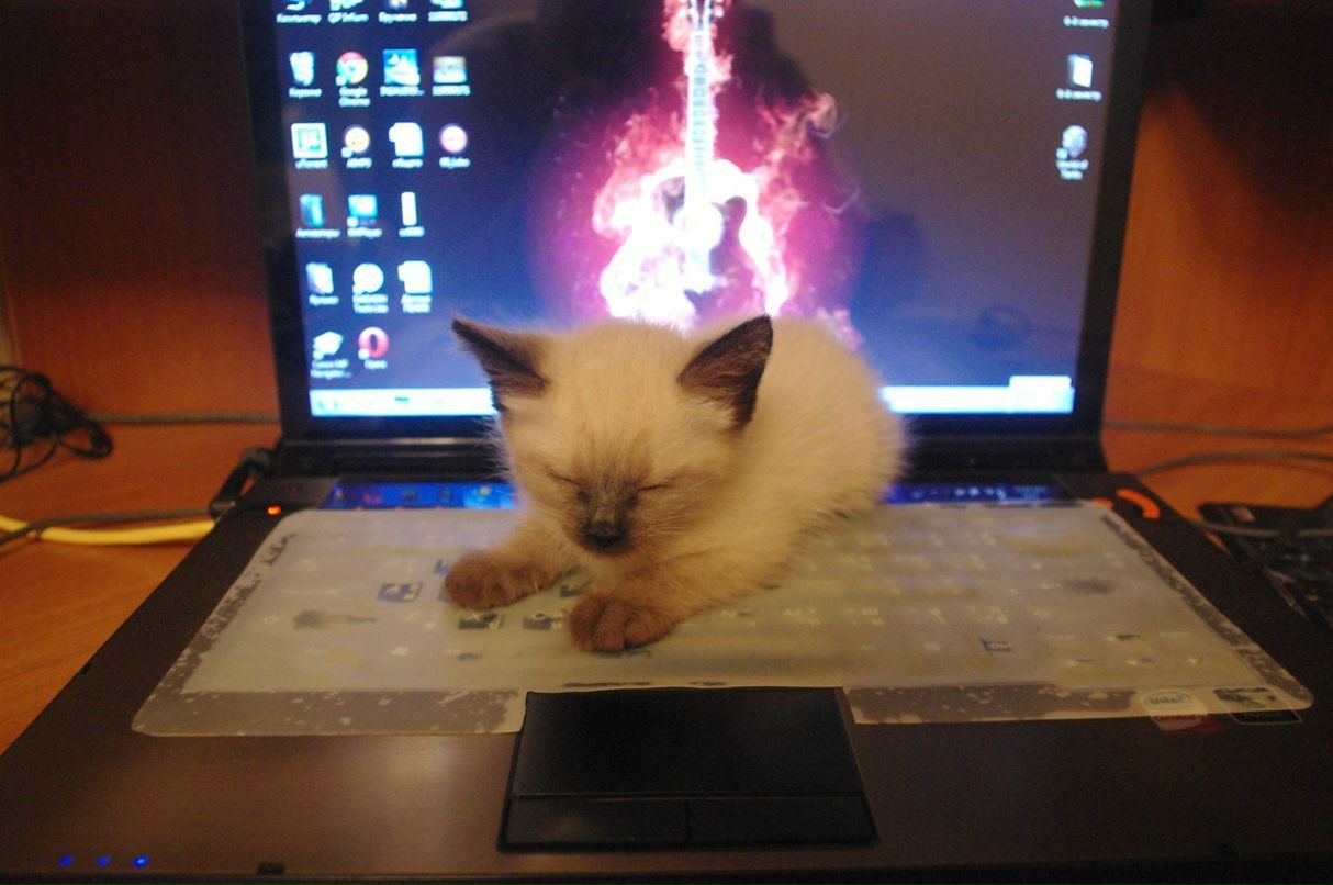 Михаил Борисов DizeL | Москва