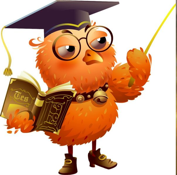 Wise Owl фото профиля #1