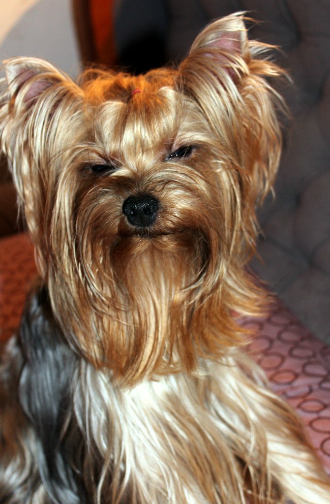 Катерина Федькова | Киев