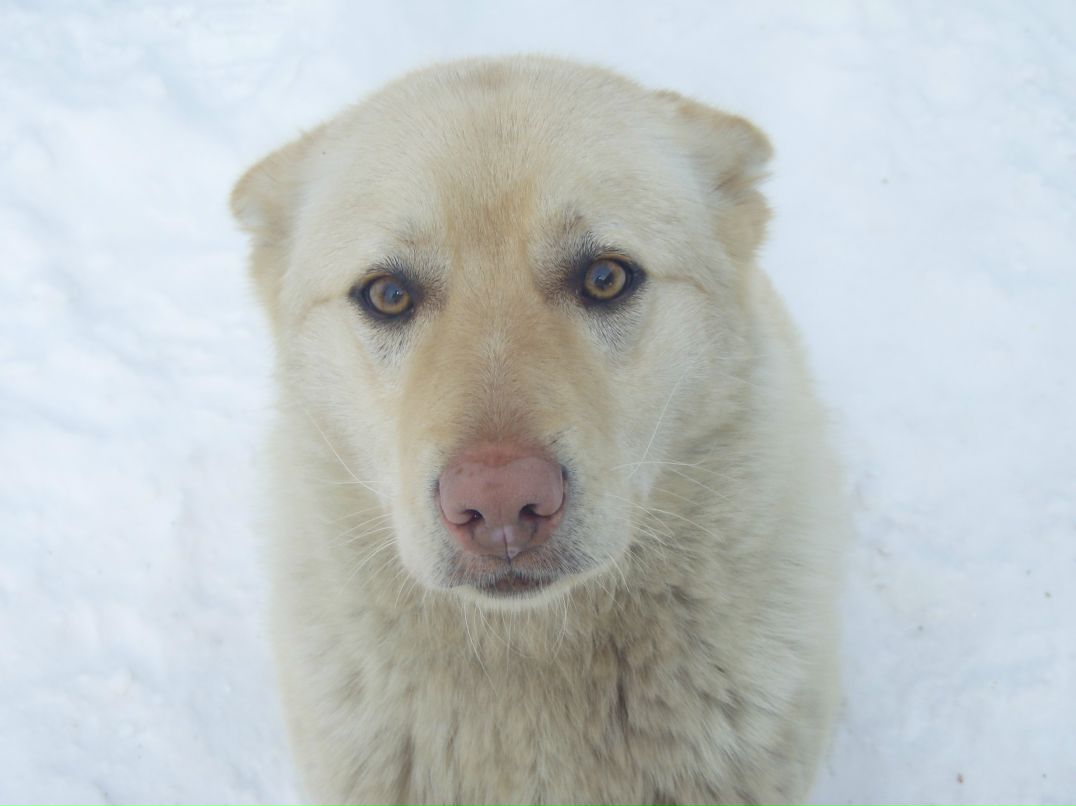 Олег Гайнутдинов | 