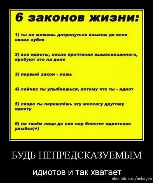 №36, Егор Гузаев, Брейтово, Россия №36, Егор Гузаев, Брейтово, Россия