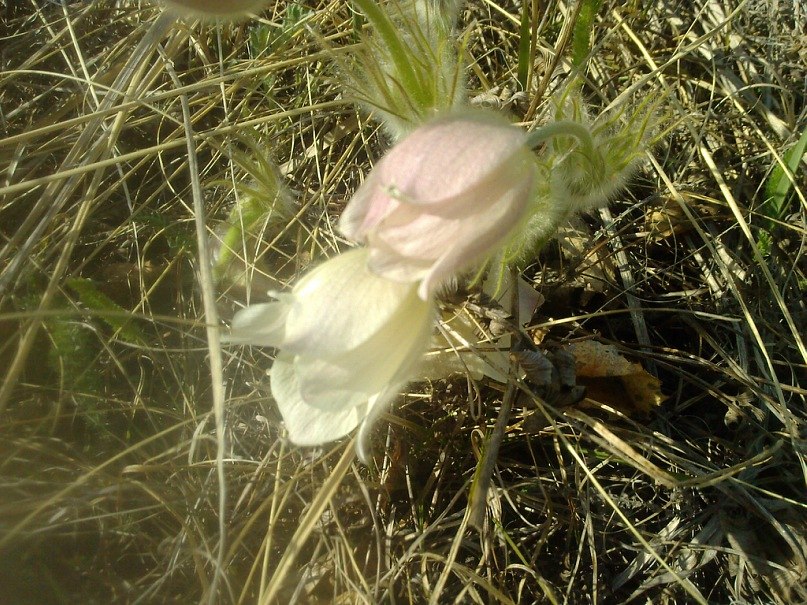 Алевтина Киреева | Екатеринбург