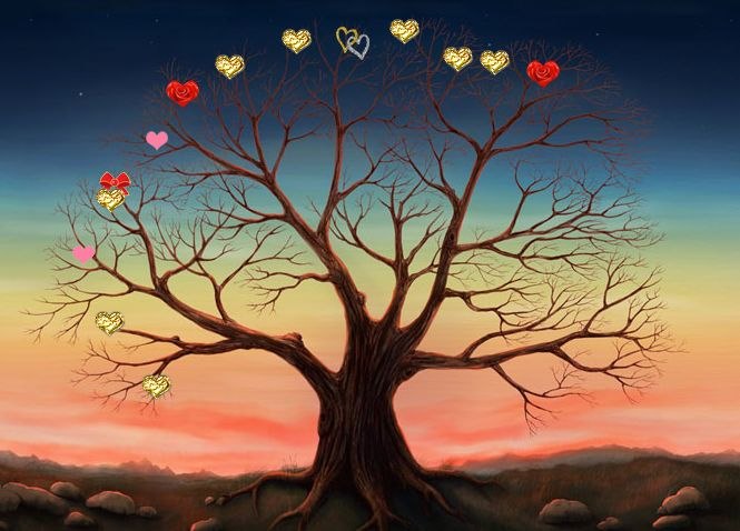 Диана Соловий | Москва