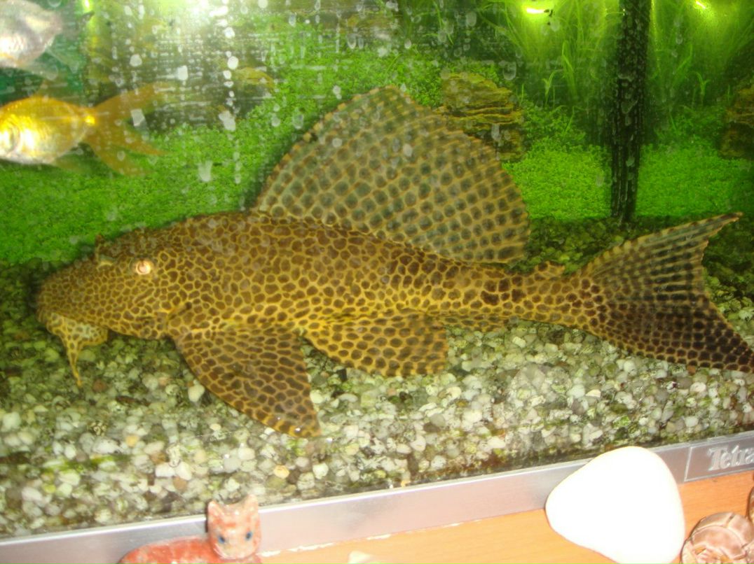 Вика Бондаренко | Киев