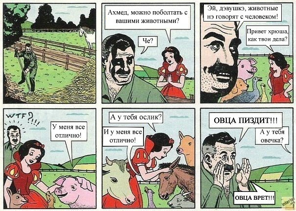 Shadow Hedgehog фото со стены #1