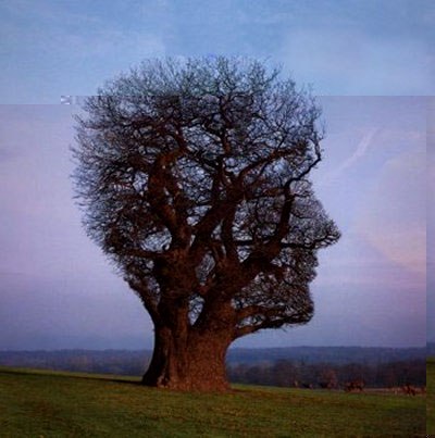 Сергей Свиков own | 