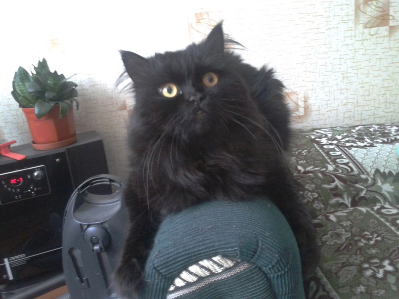 Олежка Русакевич | Молодечно