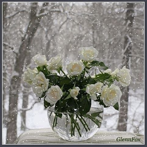 Ольга Глушенкова | Омск