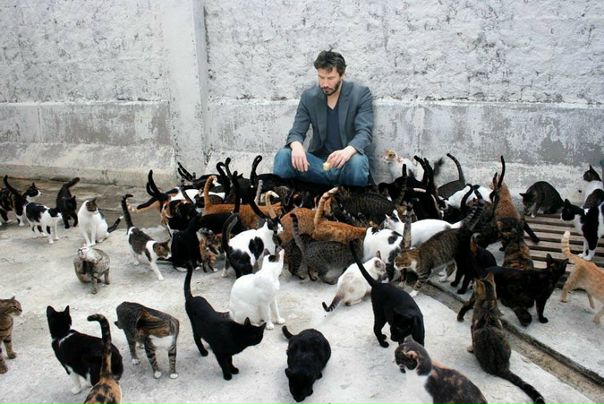 №6, Максим Карпов, 39 лет, Улан-Удэ №6, Максим Карпов, 39 лет, Улан-Удэ