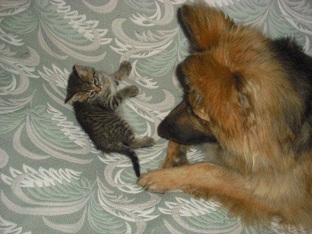 Даниил Втагин | Санкт-Петербург