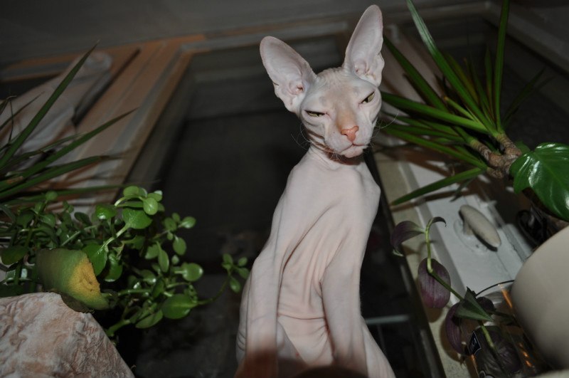 Александр Мезников | Воркута