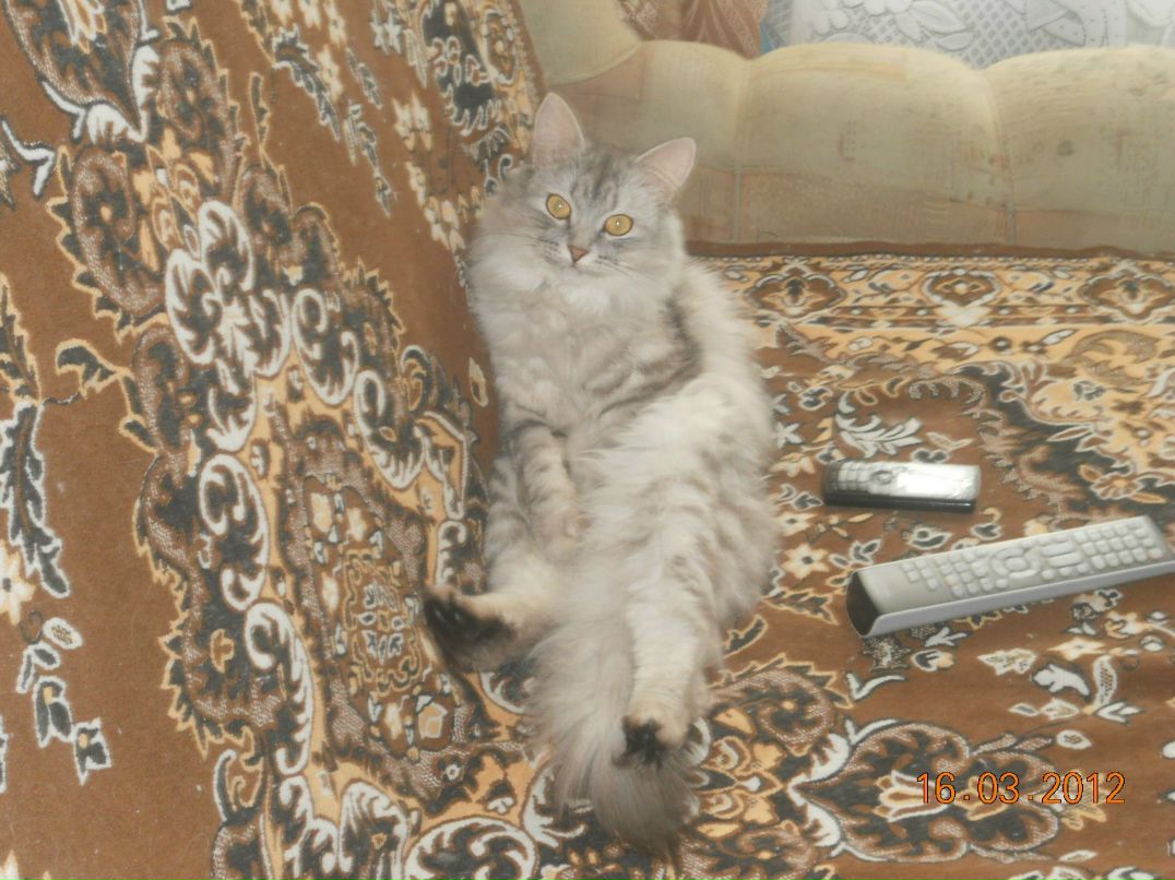 Аня Трофимова | Северодвинск