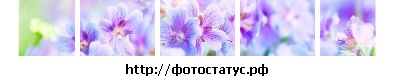 №155, Ирина Милютина №155, Ирина Милютина
