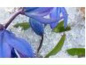 Полина Тесленко | Полтава