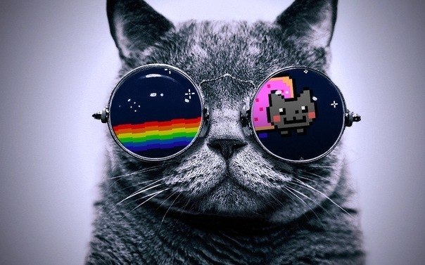 Саня Бегма =) | Тула