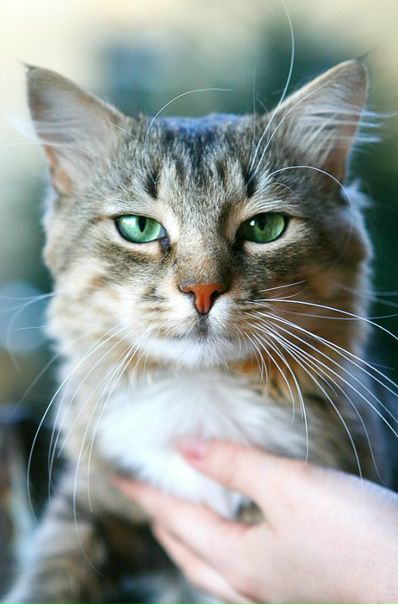 Александр Щербина фото профиля #2