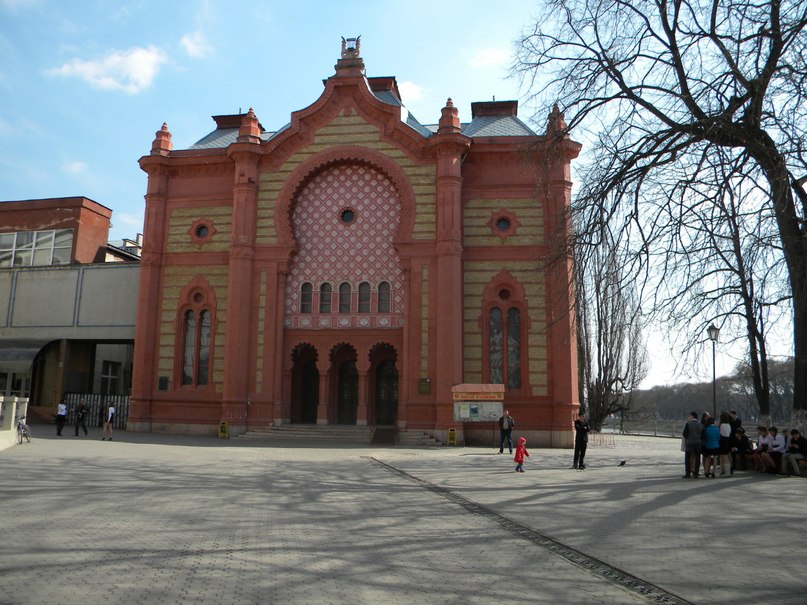 Людмила Галушка | Киев