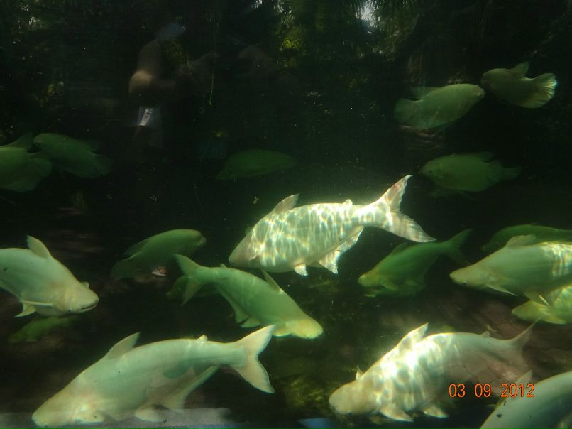 Светлана Степанова | Северодвинск