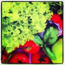 №6, Valentina Anikina, 4.1, Санкт-Петербург, Россия