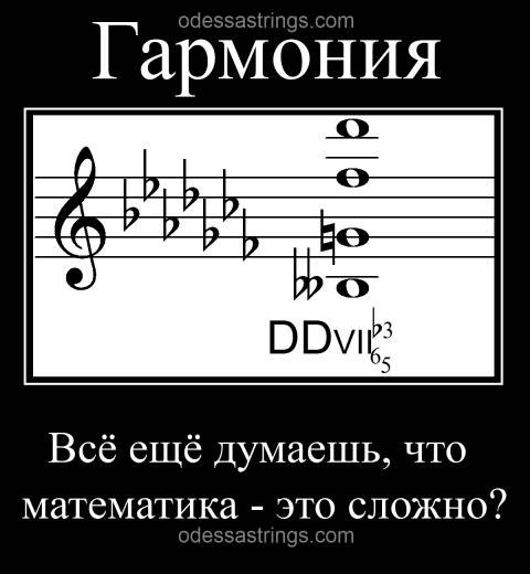 Timon Timon | Санкт-Петербург