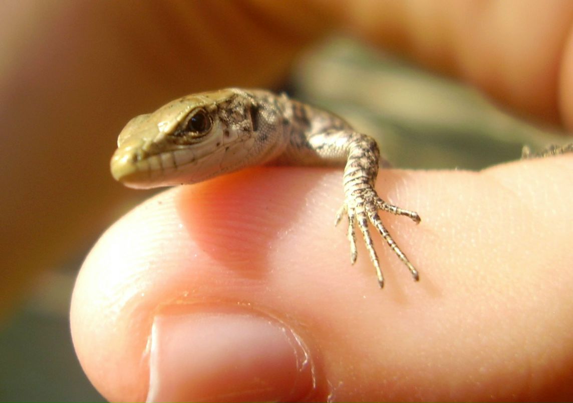 Наташка Митрофанова | Кемерово