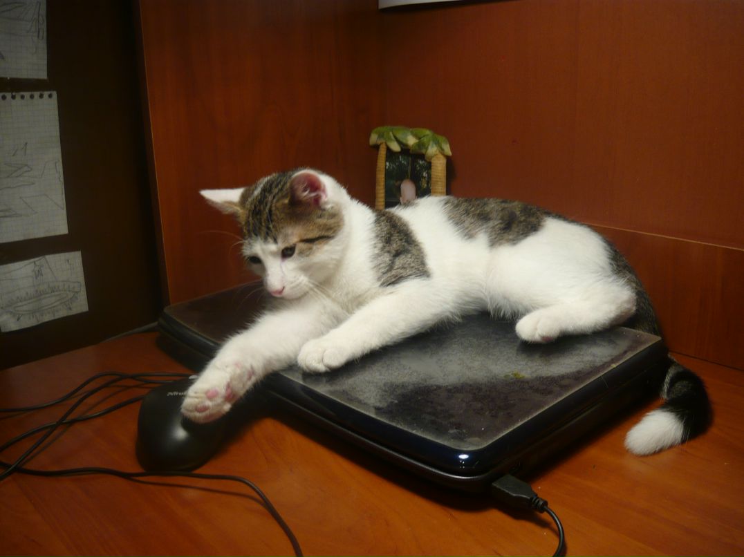 Татьяна Зернова | Санкт-Петербург