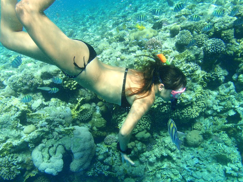 Катя Гермес | Днепр (Днепропетровск)