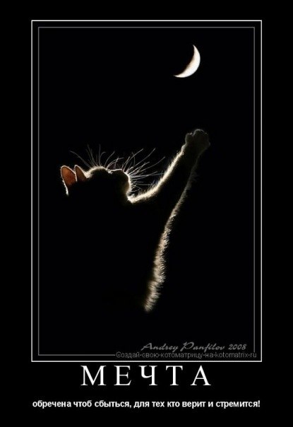 Оля Сальник | Солоницевка