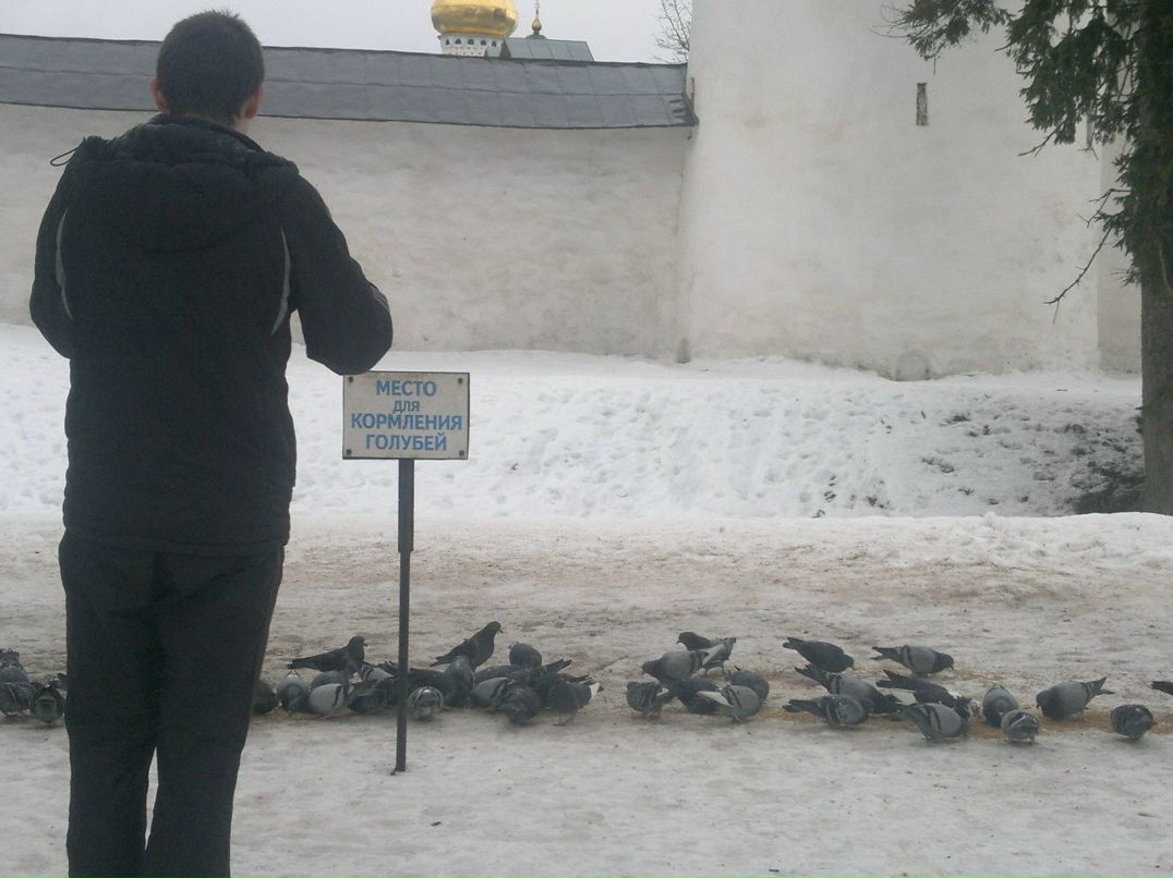 Алексей Кузьмин | Псков