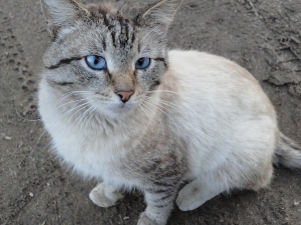 №19, Елена Тараканова №19, Елена Тараканова