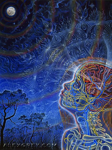 Саша Заливская | Минск