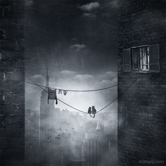 Алексей Куликов | Санкт-Петербург