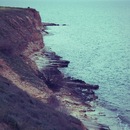 Фотография Коваленко Евгении