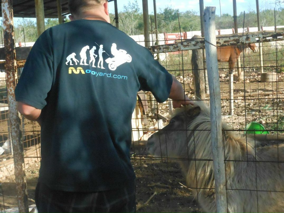 Тарас Пігура | Chicago