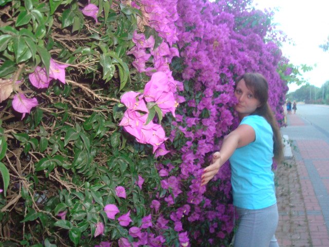 Елена Непоротивская | Москва