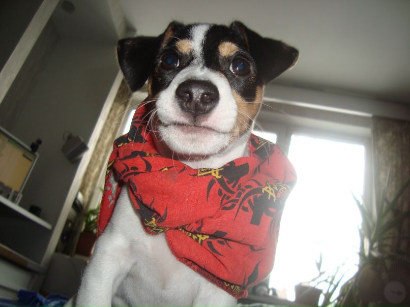 Кураж Киселёв | Санкт-Петербург