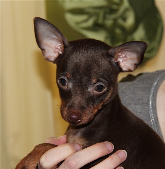 Анна Абатурова РАДУГА | Киров